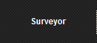 Surveyor