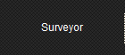 Surveyor